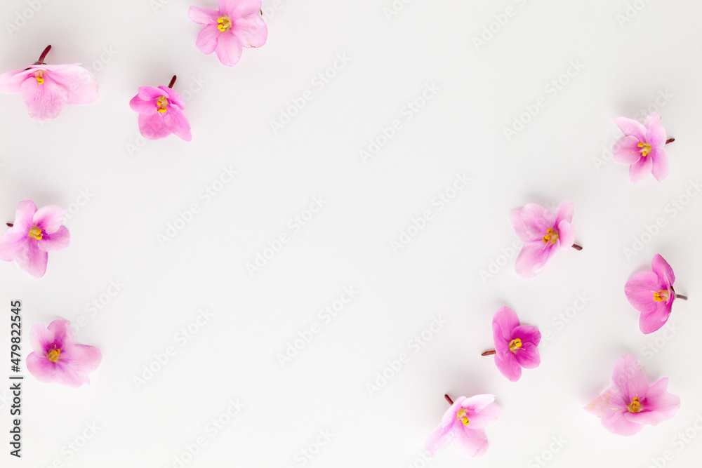 Spring or summer flower composition with edible  violets on white background. Flat lay, copy space. Healthy life and flowers concept.