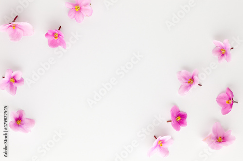 Spring or summer flower composition with edible violets on white background. Flat lay, copy space. Healthy life and flowers concept.