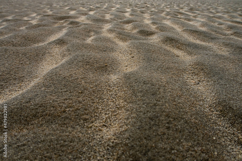 Wave tracks in the sand of a beach in the Netherlands in the evening sun Wave tracks in the sand of a beach in the Netherlands in the evening sun