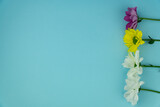 background image of flowers. multicolored flowers on a blue background