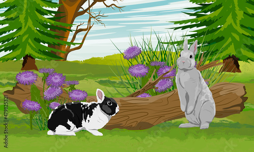 A pair of rabbits near the thickets of asters in the forest. Rabbits in the habitat. Realistic vector landscape
