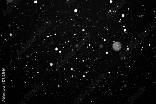 Fototapeta Naklejka Na Ścianę i Meble -  flying heavy snow on a black background of the night sky
