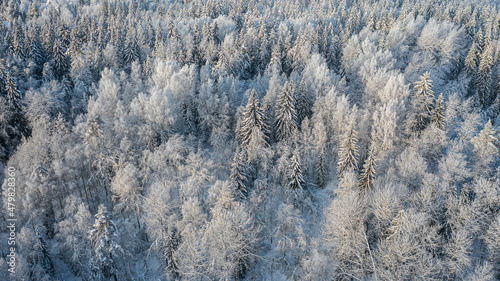 aeer snow-covered forest from above © DANIL