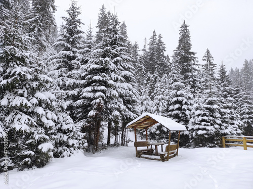 falling snow. gazebo for relaxing in forest. carpathian mountains. © Svitlana