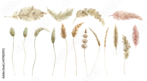 Watercolor boho flowers and leaves clipart. Dry palm branches, dried flowers and herbs. Pampas grass, white orchids. For cards, wedding invitations, posters, scrapbooking