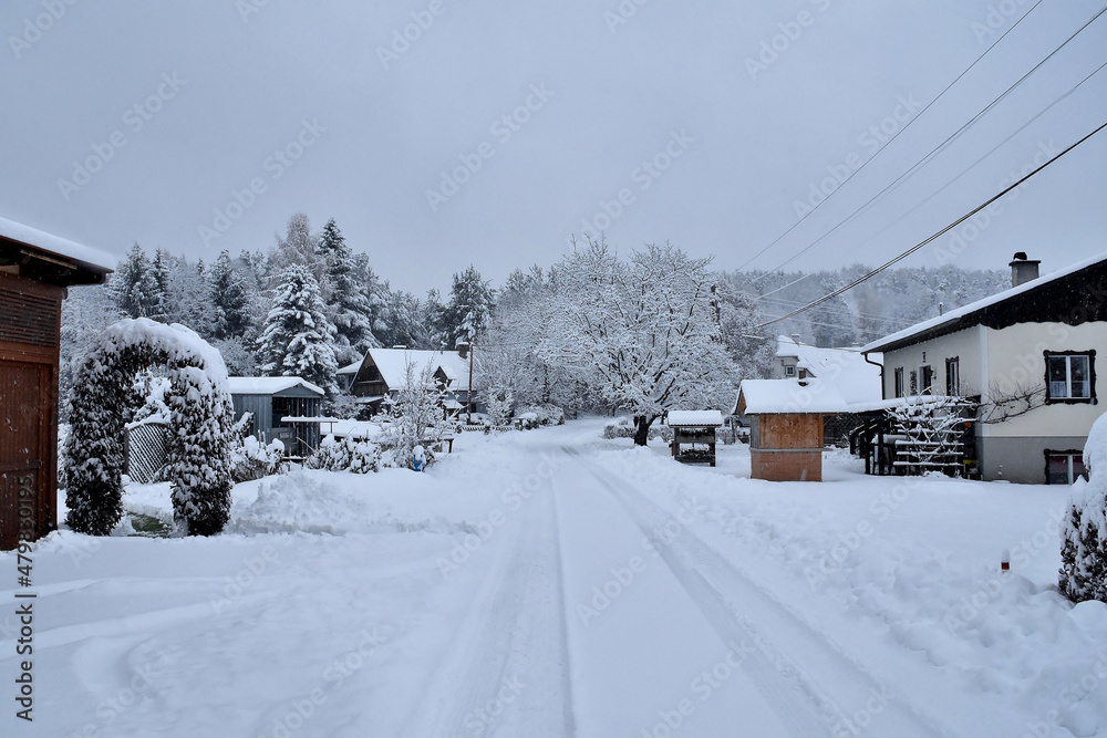 Neuschneelandschaft