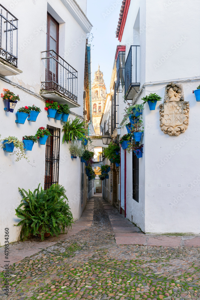 Fototapeta premium Cordoba, Spain. Calleja de las flores, a famous narrow street in Cordoba, Spain during the traditional flower festival of the patios