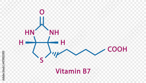 Vitamin B7 chemical formula. Vitamin B7 structural chemical formula isolated on transparent background.