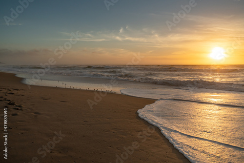 Sunset on the beach and silhouette of plover birds. Sand beach and ocean waves with beautiful sun reflections