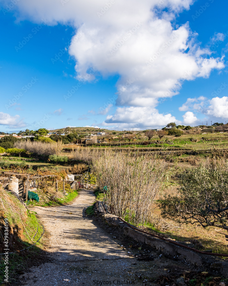 Obraz premium The path to the mountain.