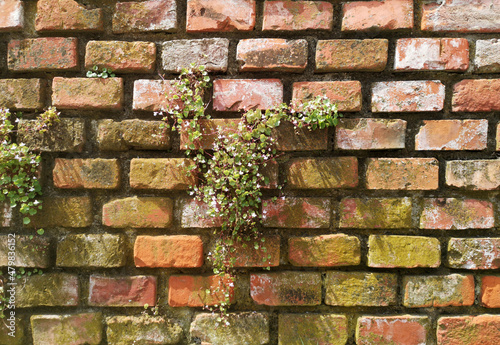 brick_20190715_114803