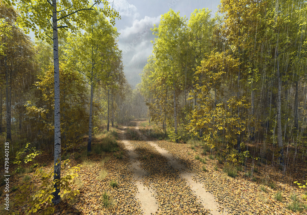 Obraz premium Dirt road with tire tracks in an autumn forest on a rainy and sunny day. 3D render.