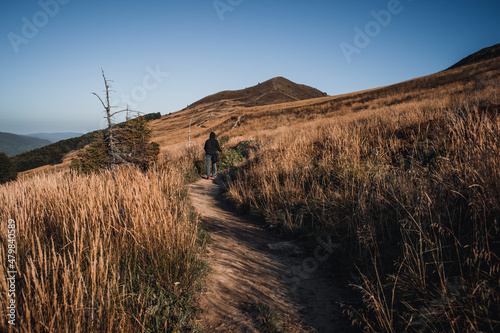 Fototapeta Naklejka Na Ścianę i Meble -  połonina Caryńska, Bieszczady