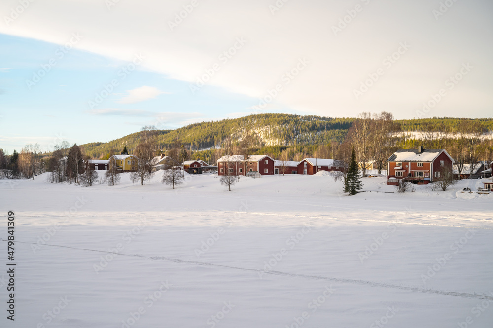 Scenic image of spruces tree. Blue cloud sky, calm wintry panorama scene. Ski resort. Great picture of wild area. Explore the beauty of earth. Tourism concept. Scenic image of spruces tree. Blue cloud sky, calm wintry panorama scene. Ski resort. Great picture of wild area. Explore the beauty of earth. Tourism concept.