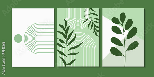 Abstract modern botanical boho poster. Organic bohemian wall art poster for minimal luxury interior with abstract shapes. Neutral pastel color. Modern vector illustration.