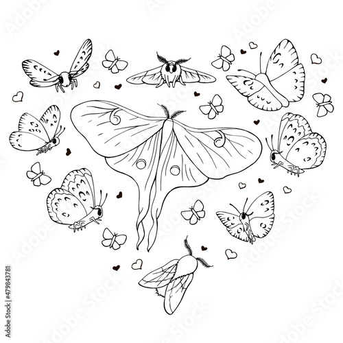 Set of monochrome vector isolated butterflies on a white background in the shape of a heart. Pink Maple Butterfly, Peacock Eye Selena. Print on clothes, design of cards for Valentine's Day, sticker.