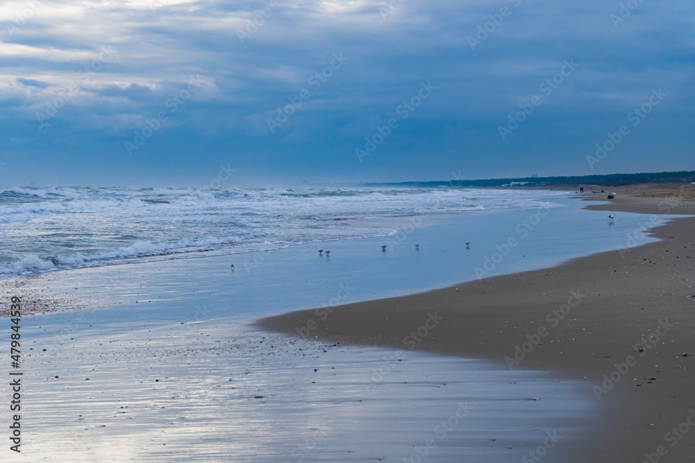 La spiaggia con le onde e dei frattini sul bagnasciuga a Marina di Ravenna in Italia, inverno, a Gennaio. In natura. Fuori. Viaggiare. Vacanze. Destinazione.