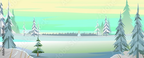 Wide rural landscape in winter. Fields in the snow and drifts. Strong frost. Rustic garden and hills. Pine trees. Illustration in cartoon style flat design. Vector