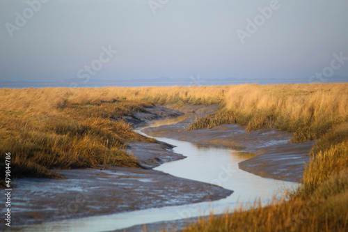 Fototapeta Naklejka Na Ścianę i Meble -  the natural beach of Hilgenriedersiel - UNESCO World Heritage Wadden Sea