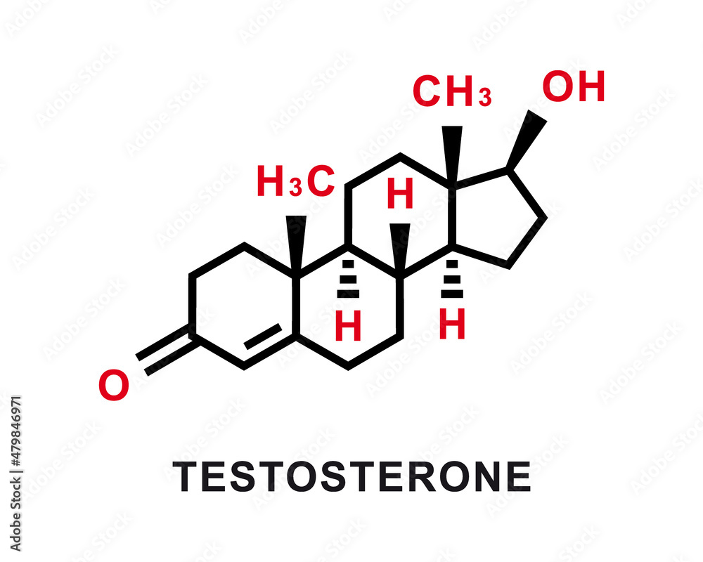 Testosterone chemical formula. Testosterone chemical molecular structure. Vector illustration Testosterone chemical formula. Testosterone chemical molecular structure. Vector illustration