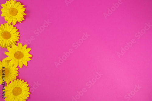 Summer flowers on a color background. Top view, text space