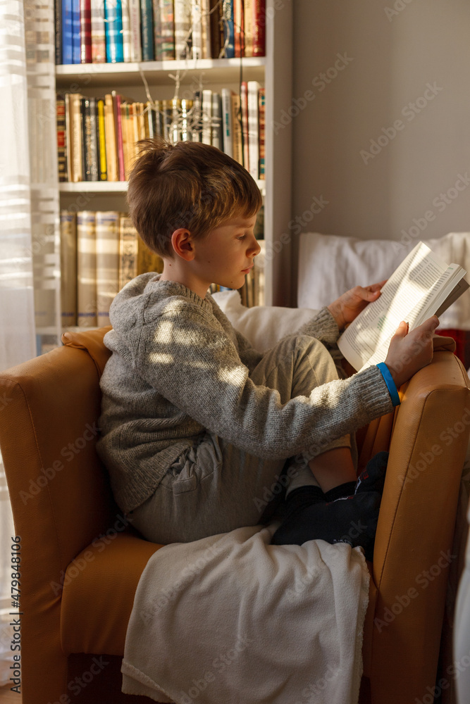A boy sitting in an armchair and reading a book - obrazy, fototapety, plakaty 