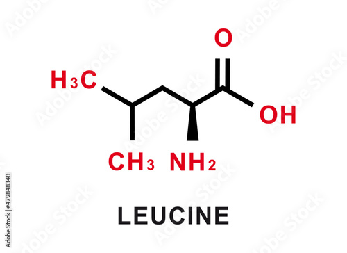Leucine chemical formula. Leucine chemical molecular structure. Vector illustration