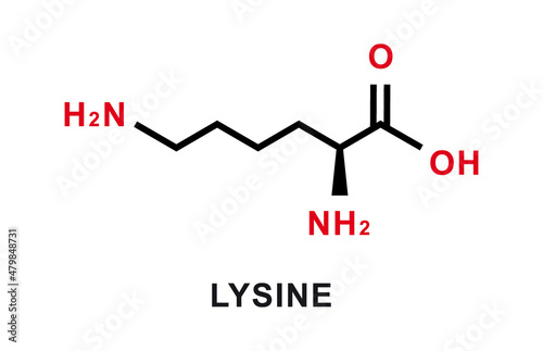 Lysine chemical formula. Lysine chemical molecular structure. Vector illustration photo