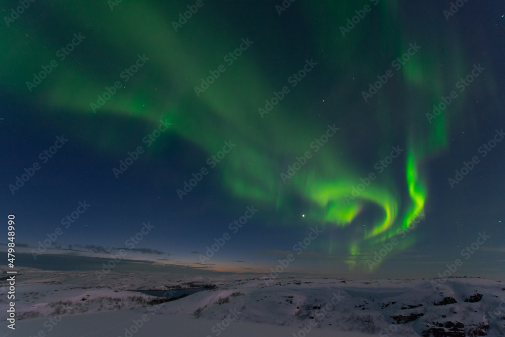 Beautiful aurora borealis in the tundra in winter.