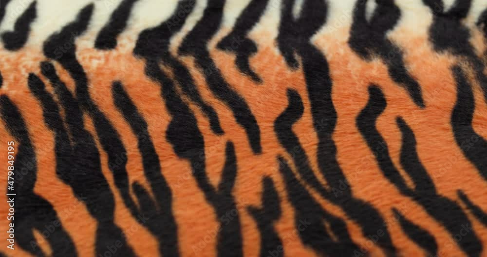 Tiger fur fabric close-up. Animal print background, striped wool textile. Symbol of year 2022. Handmade, fashion design and tailoring concept. Tiger fur fabric close-up. Animal print background, striped wool textile. Symbol of year 2022. Handmade, fashion design and tailoring concept.
