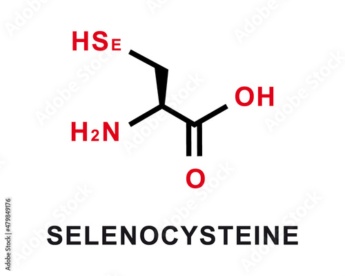 Selenocysteine chemical formula. Selenocysteine chemical molecular structure Vector illustration photo