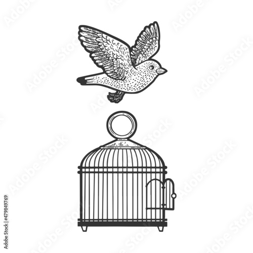 bird flew out of the cage sketch engraving vector illustration. T-shirt apparel print design. Scratch board imitation. Black and white hand drawn image.