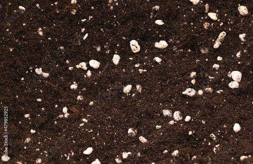 Potting soil mixed with perlite good for indoor plants concept