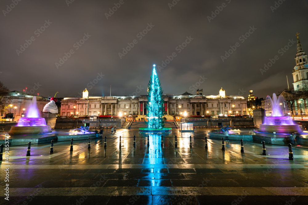 Obraz premium Trafalgar Square with Christmas tree in London England 
