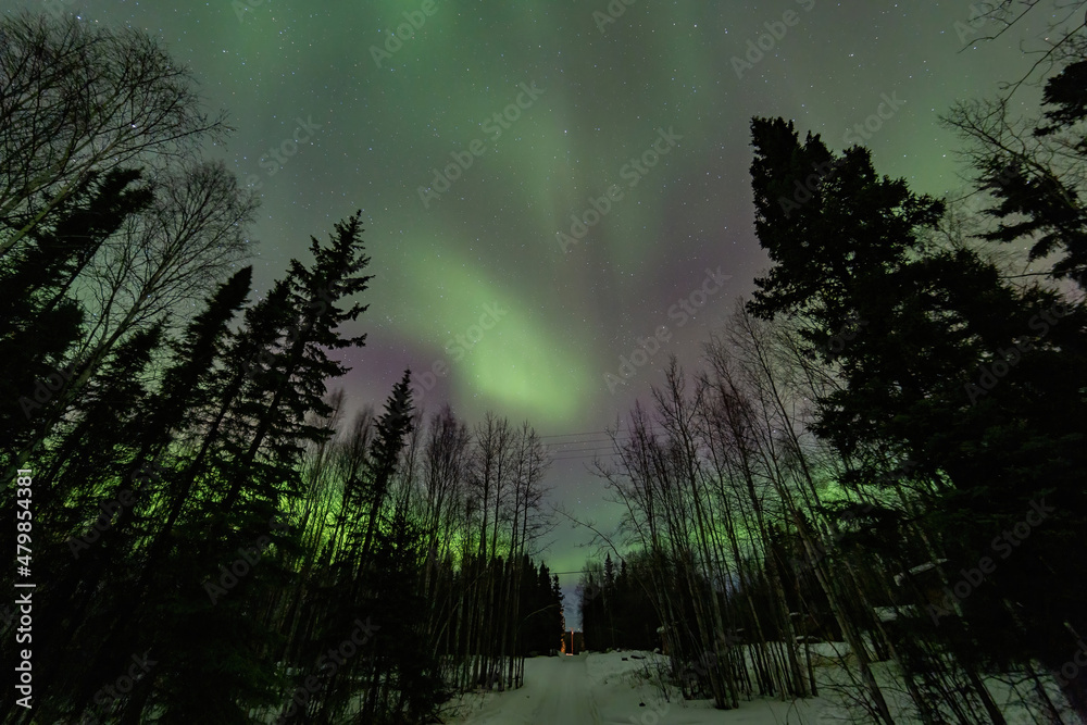 Beauitful aurora over the night sky