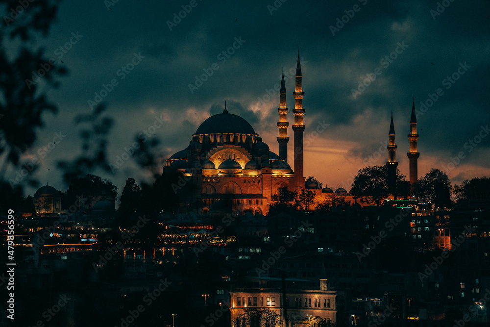 blue mosque at night city