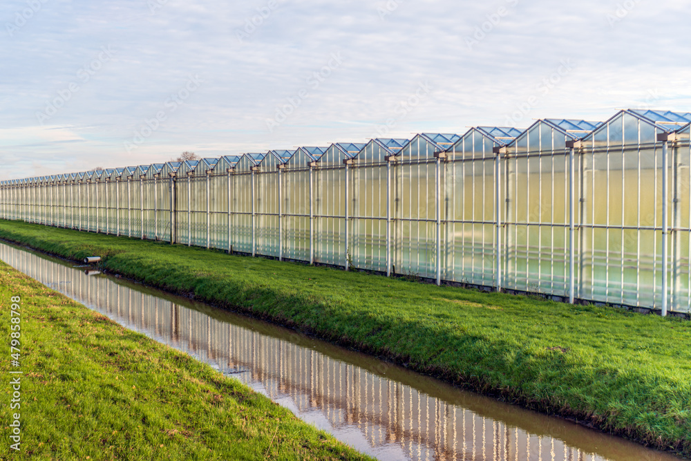 Greenhouses of a glasshouse horticultural company reflected in the mirror-smooth water surface of a ditch. The photo was taken on a cloudy winter day in the Dutch province of North Brabant. Greenhouses of a glasshouse horticultural company reflected in the mirror-smooth water surface of a ditch. The photo was taken on a cloudy winter day in the Dutch province of North Brabant.