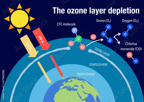 The ozone layer depletion explained