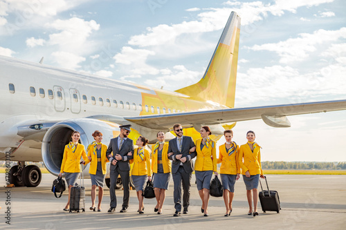 Cheerful aircrew with travel suitcases walking down the airfield