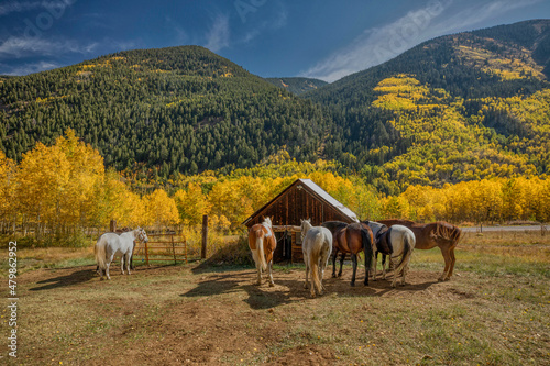 Foto Aspen Colorado ghost town in the fall colors of the aspen trees