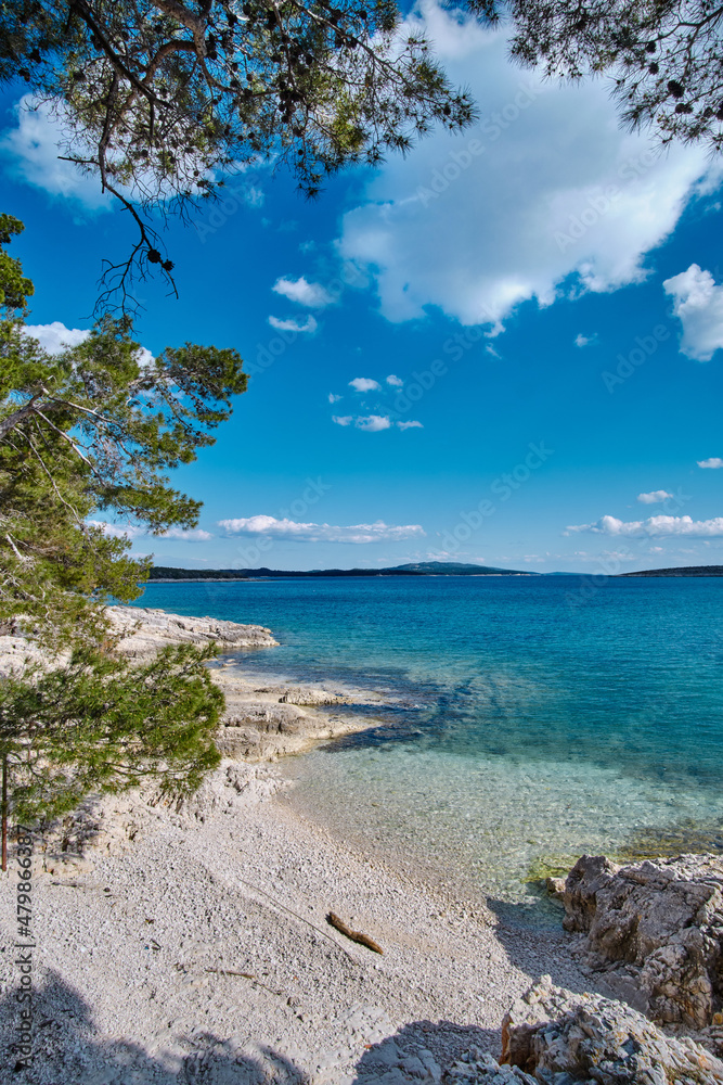 beach in the summer