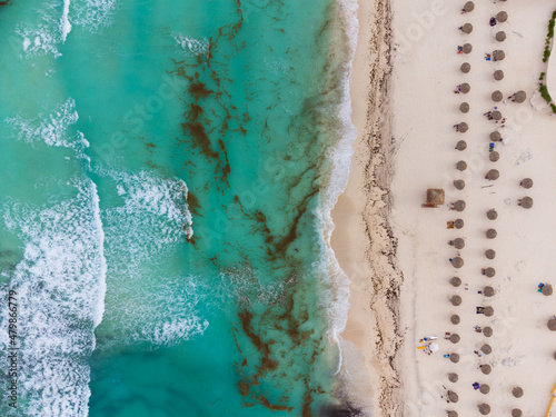 Shooting from the air. White sandy beach and sea with algae near the shore. Pollution toxins and poisons, climate change, global warming, environmental protection. Abstraction.