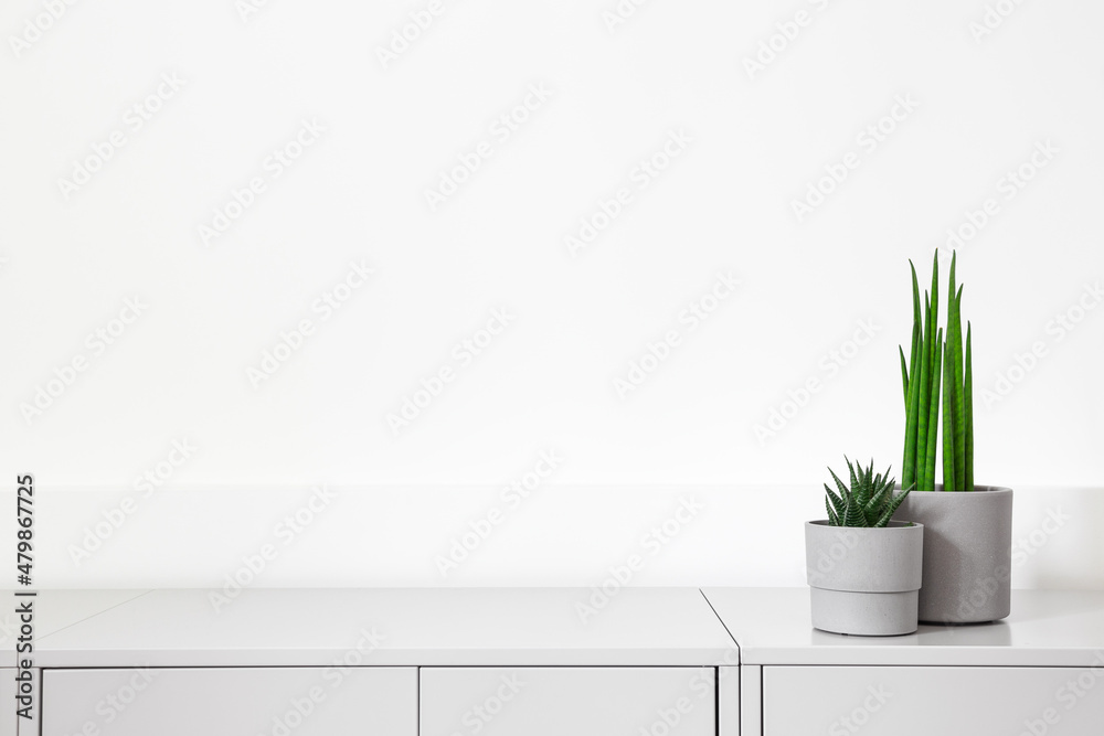 Plants on a grey cabinet mock up.