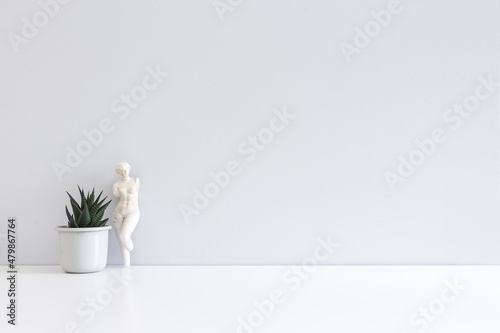 Houseplant, figurine and grey wall. photo