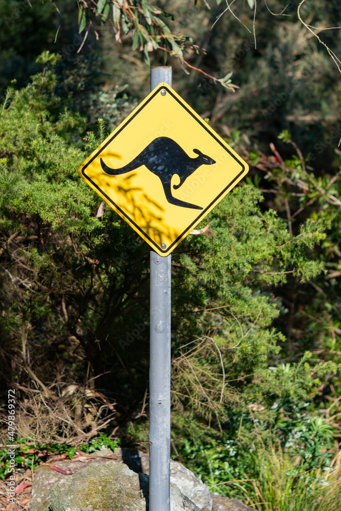  Australian kangaroo warning road sign in botanical garden in Ventnor, Isle of Wight, United Kingdom