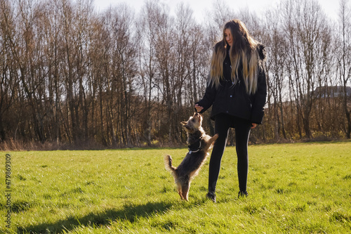 Teenager girl playing with cut Yorkshire terrier in a park on a grass. The dog standing on back legs Warm sunny day. Outdoor activity and fun concept. Pet care and responsibility.