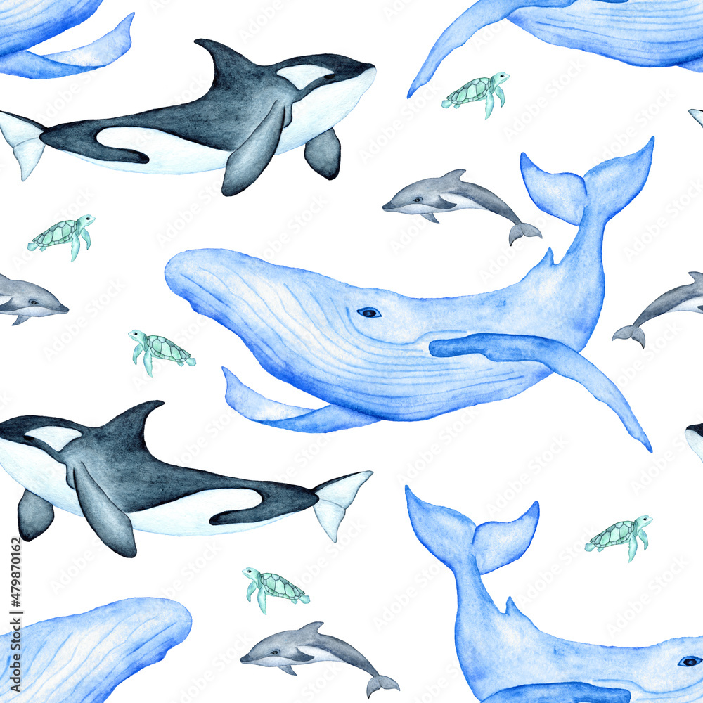 Gray dolphin cow-fish or gramphus, blue whale, killer whale orca, sea green  turtle watercolor illustration seamless pattern ocean animals. Stock  Illustration | Adobe Stock