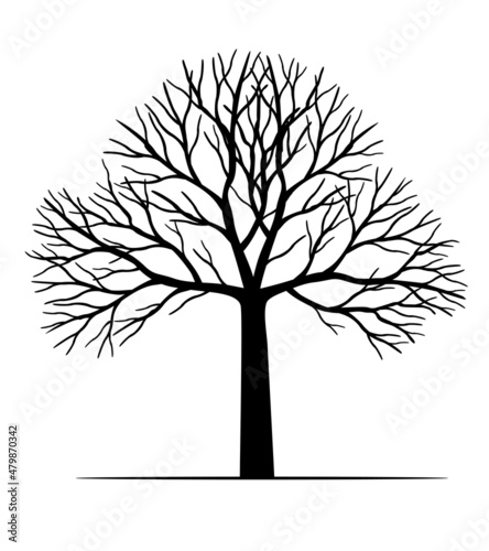 Shape of Black Tree. Vector outline Illustration. Plant in Garden.