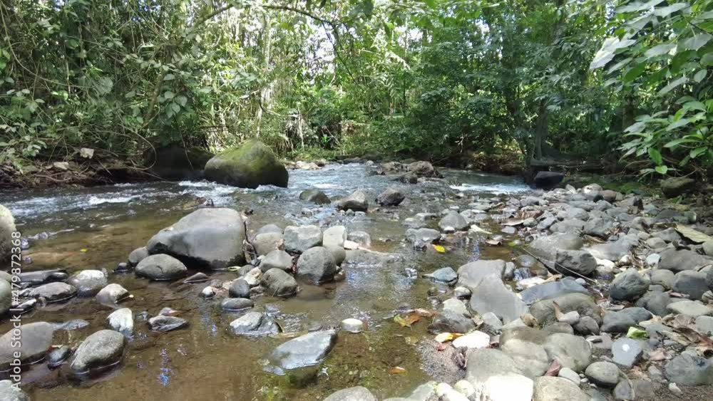 Beautiful Costa Rica Jungle with River stream Beautiful Costa Rica Jungle with River stream