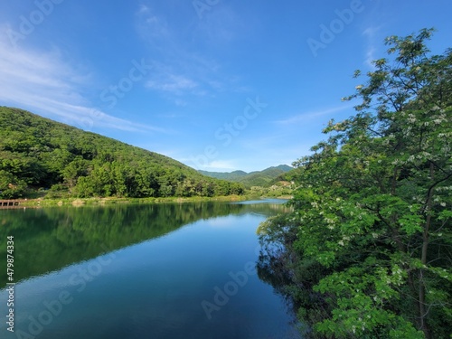 lake in the forest